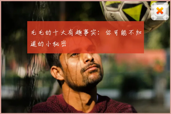 毛毛的十大有趣事实：你可能不知道的小秘密