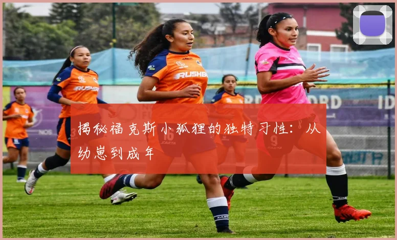 揭秘福克斯小狐狸的独特习性：从幼崽到成年