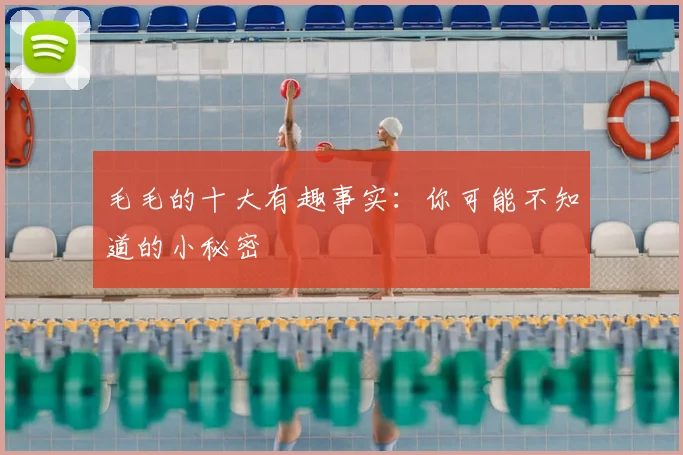 毛毛的十大有趣事实:你可能不知道的小秘密